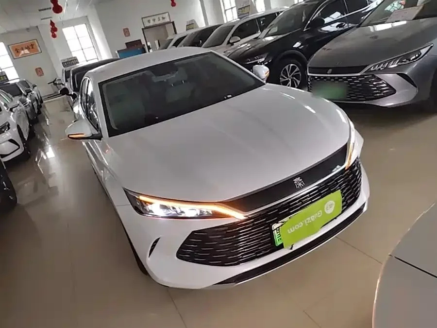 BYD Qin L