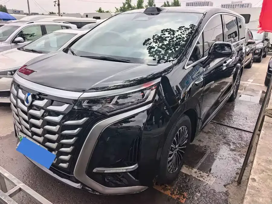 BYD D9