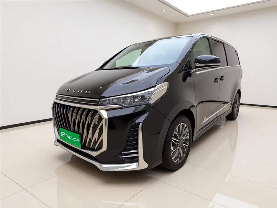 Maxus G20