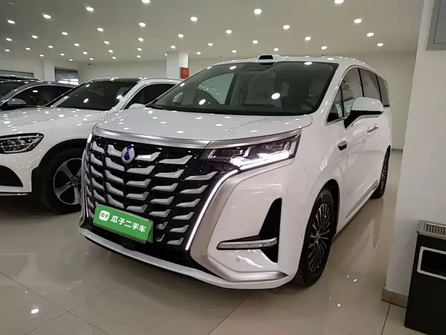 BYD D9