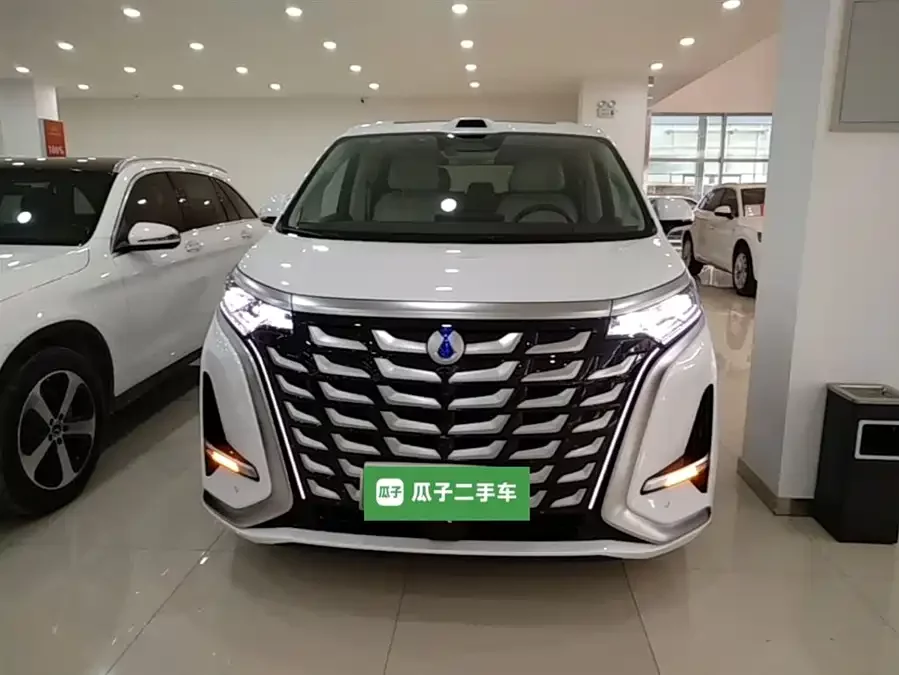 BYD D9