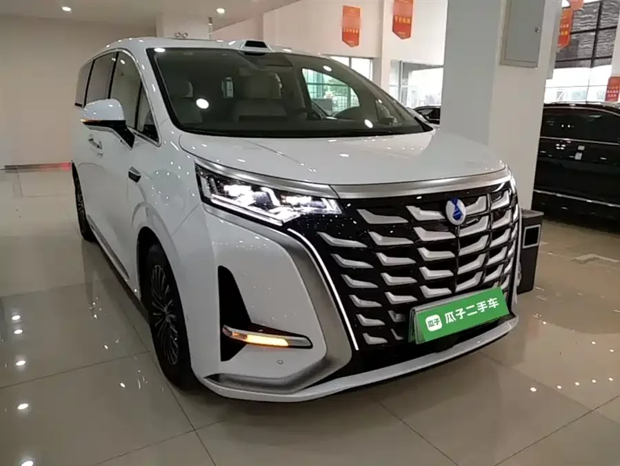 BYD D9