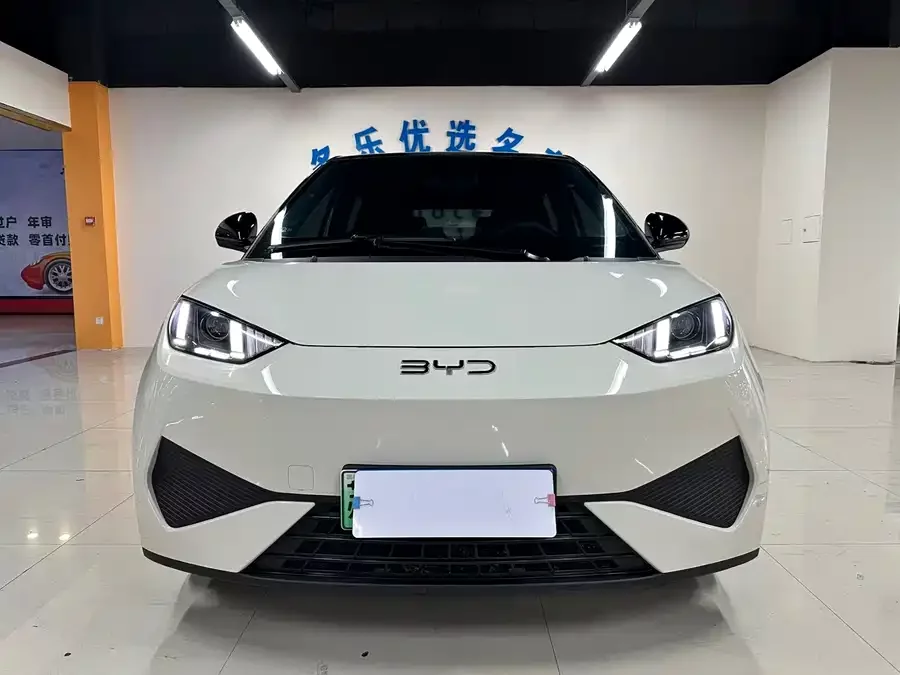 BYD Seagull