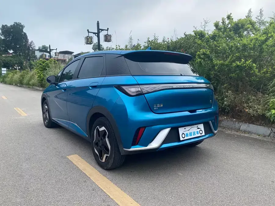 BYD Dolphin