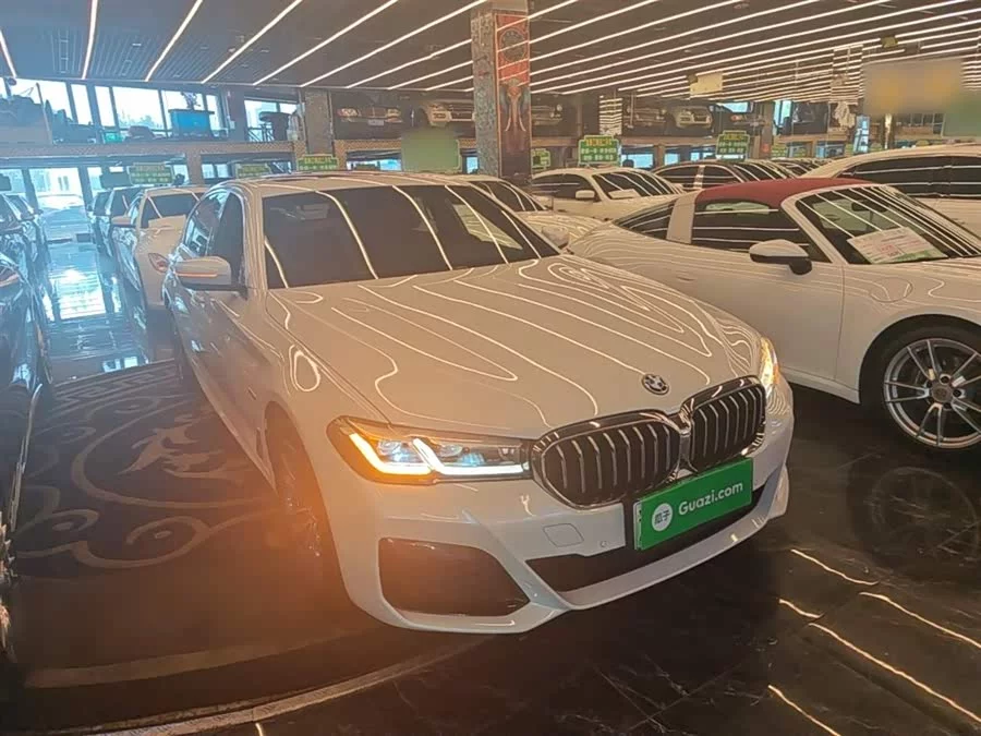 BMW 5 Series New Energy