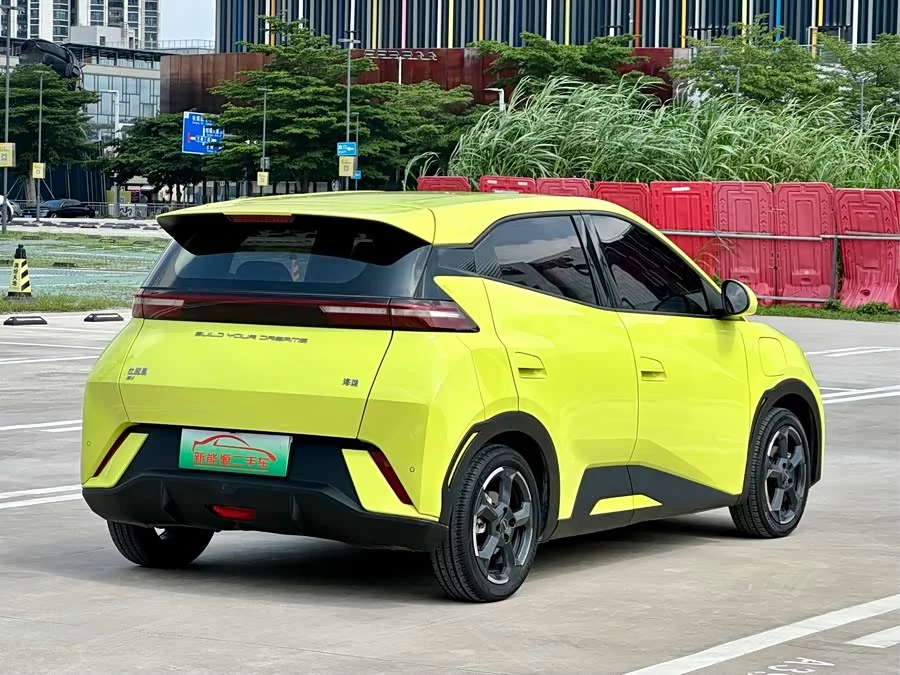 BYD Seagull