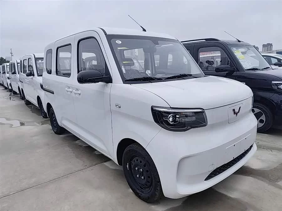 Wuling Zhiguang New Energy