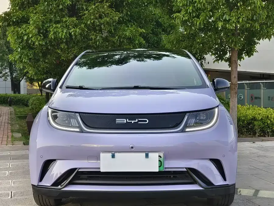 BYD Dolphin