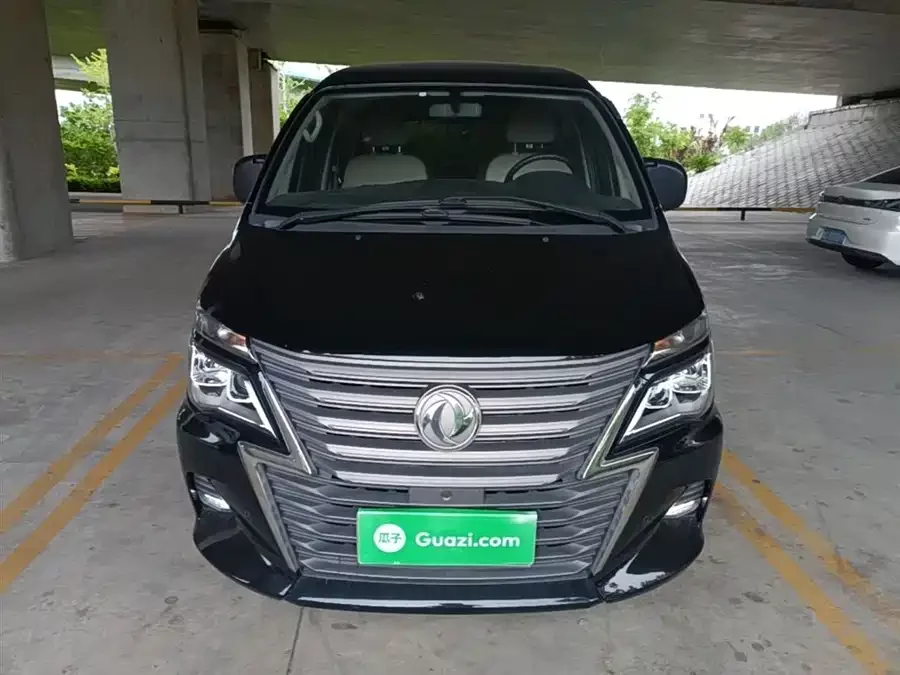 Dongfeng Lingzhi