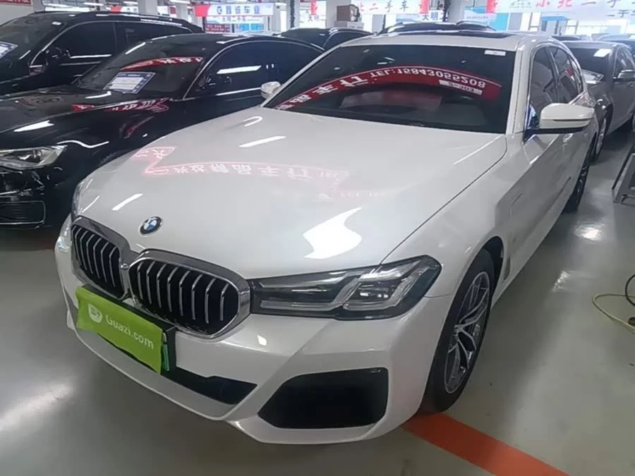 BMW 5 Series New Energy
