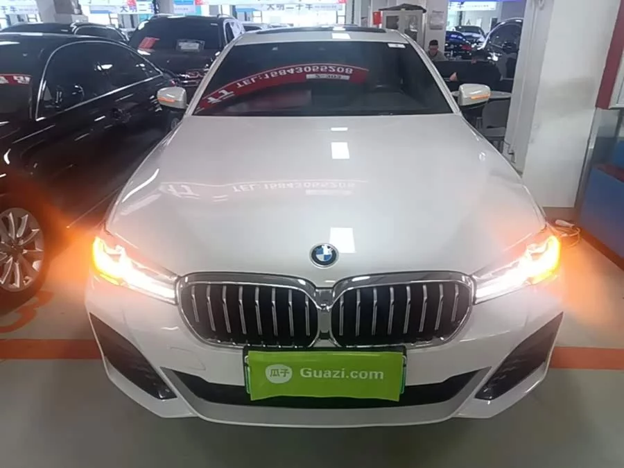 BMW 5 Series New Energy