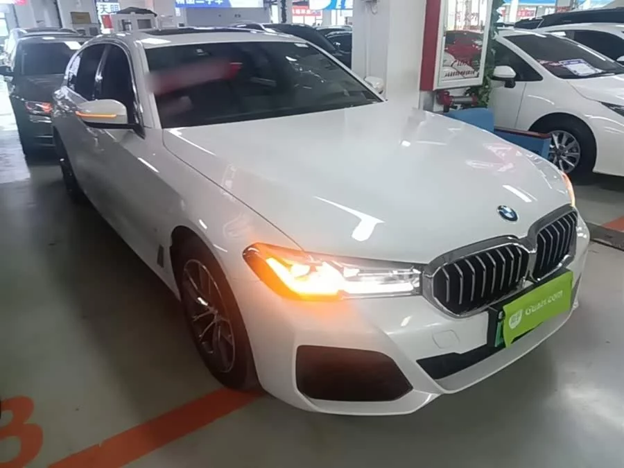 BMW 5 Series New Energy