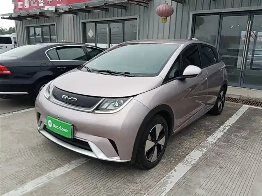 BYD Dolphin