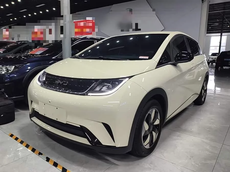 BYD Dolphin