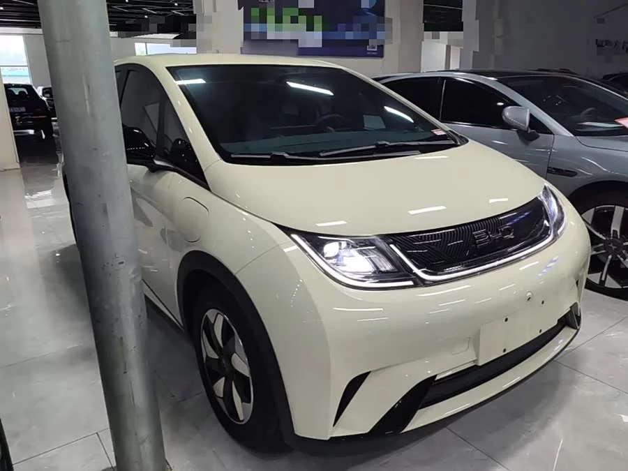 BYD Dolphin