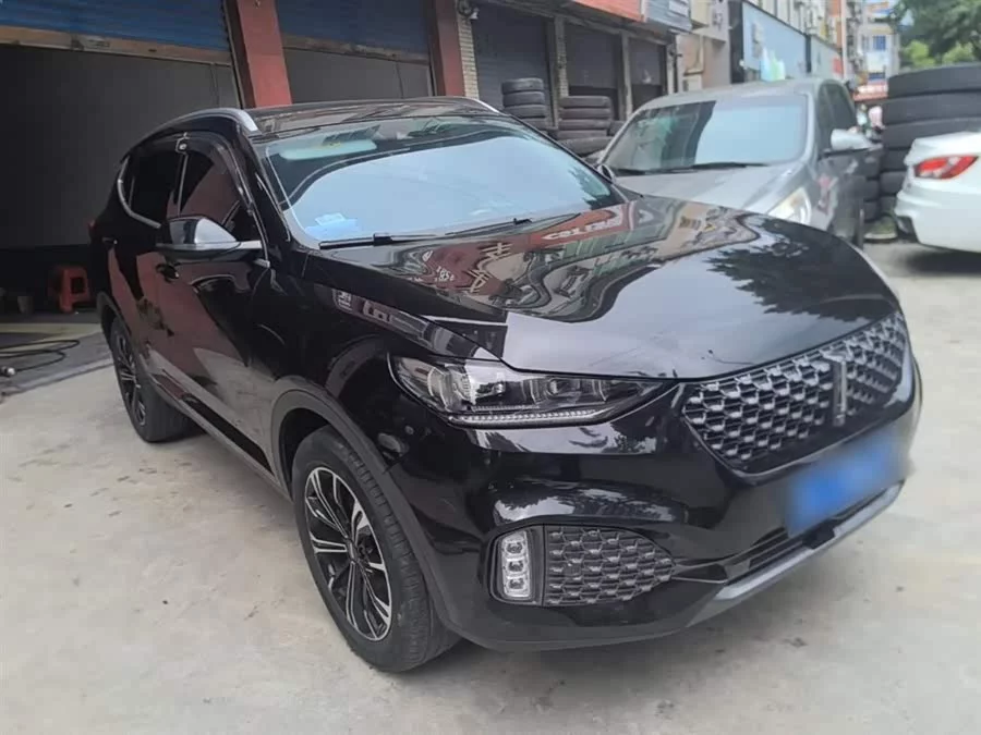 Wey VV6