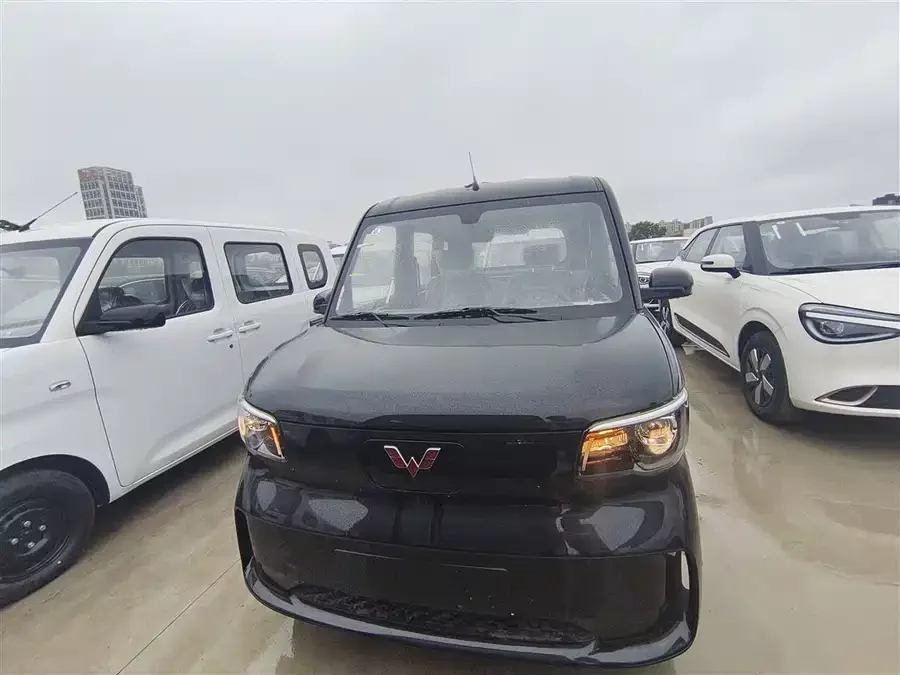 Wuling Zhiguang New Energy