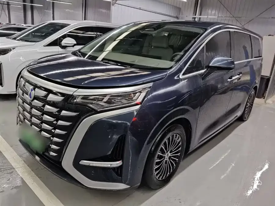 BYD D9
