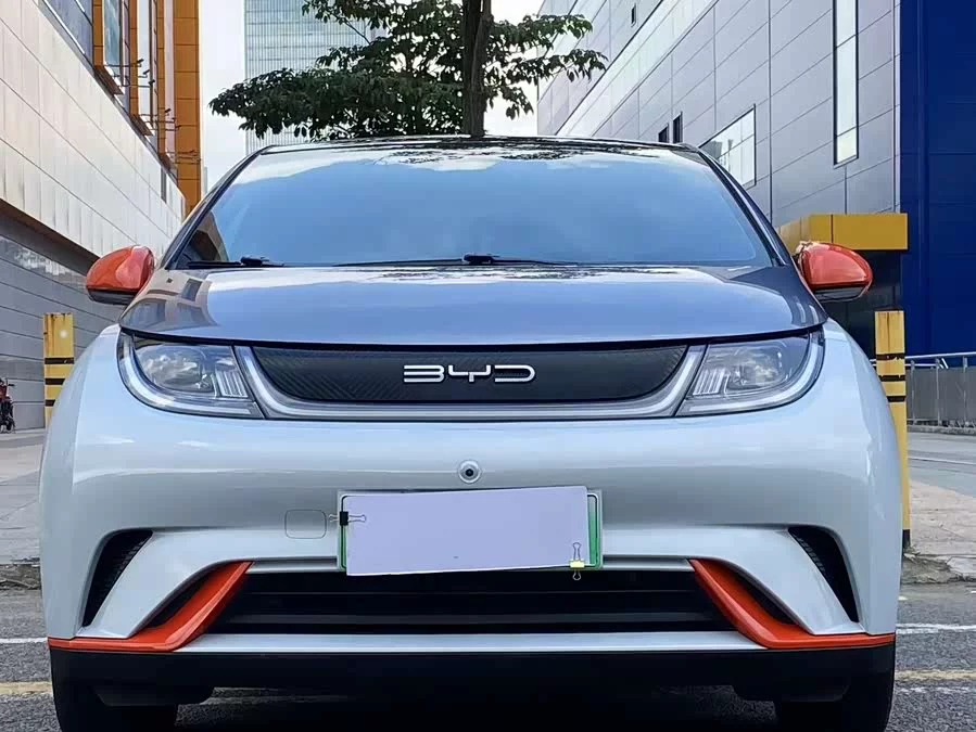 BYD Dolphin