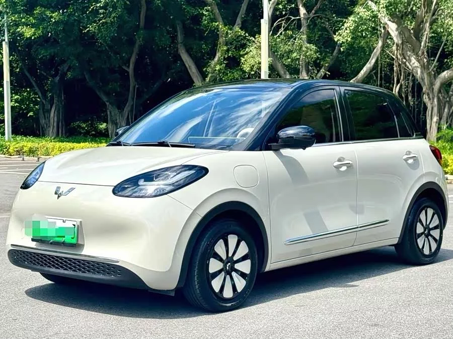 Wuling Bingo