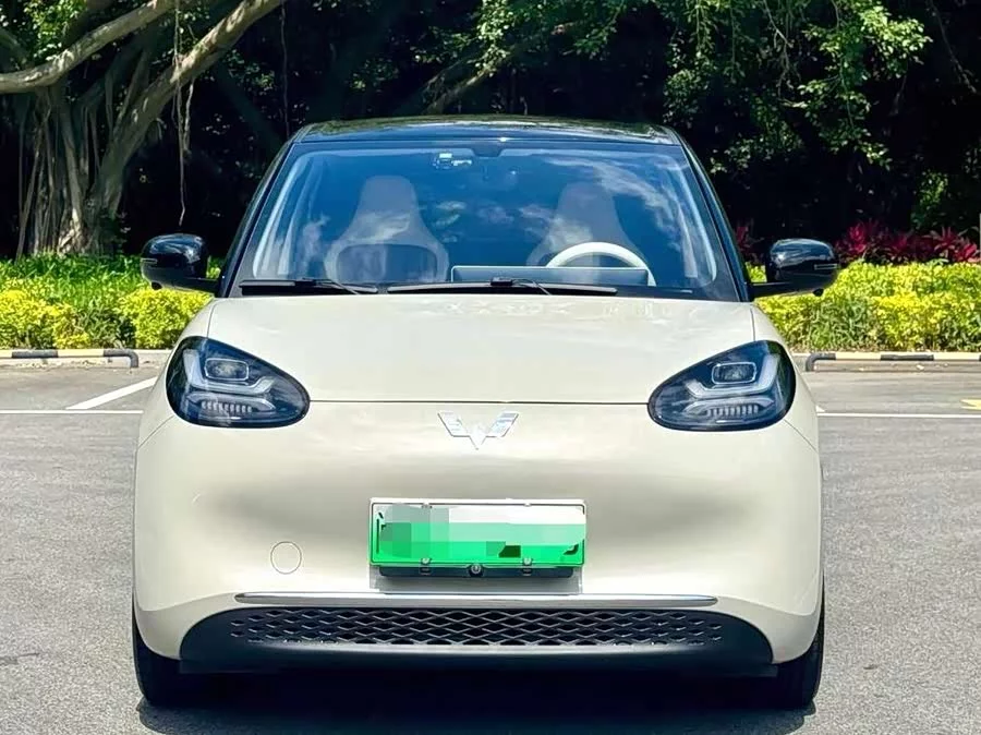 Wuling Bingo