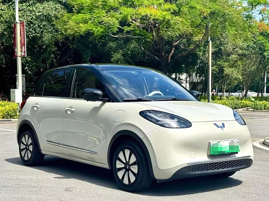Wuling Bingo