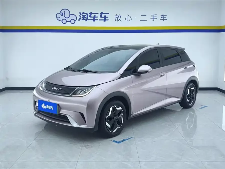 BYD Dolphin