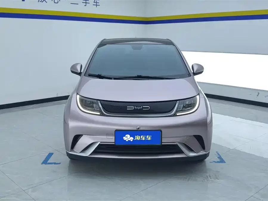 BYD Dolphin