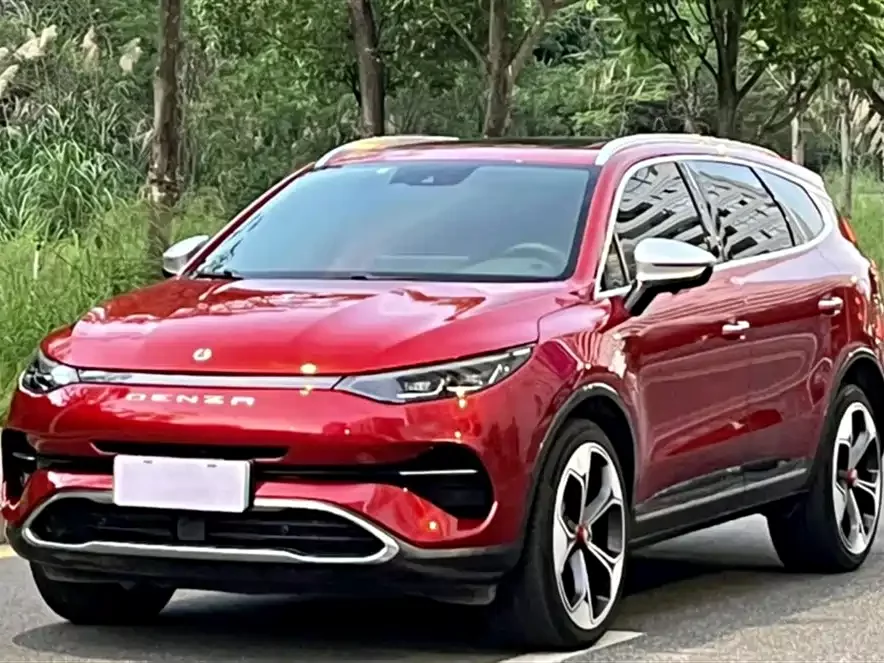 BYD X