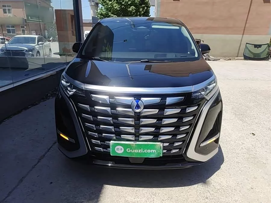 BYD D9