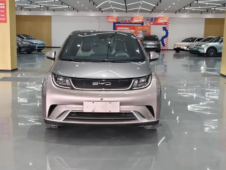 BYD Dolphin