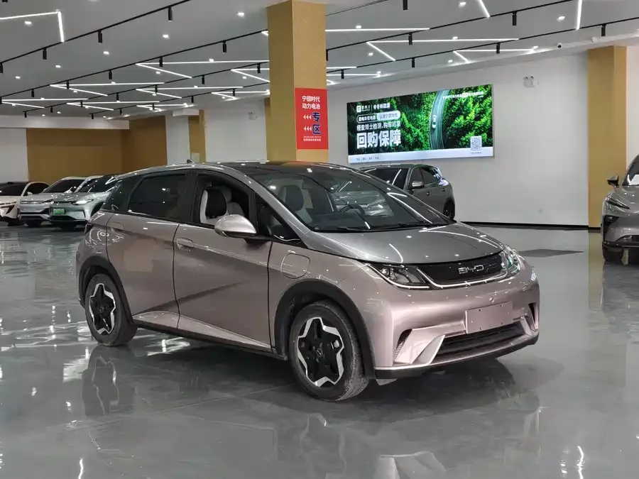BYD Dolphin