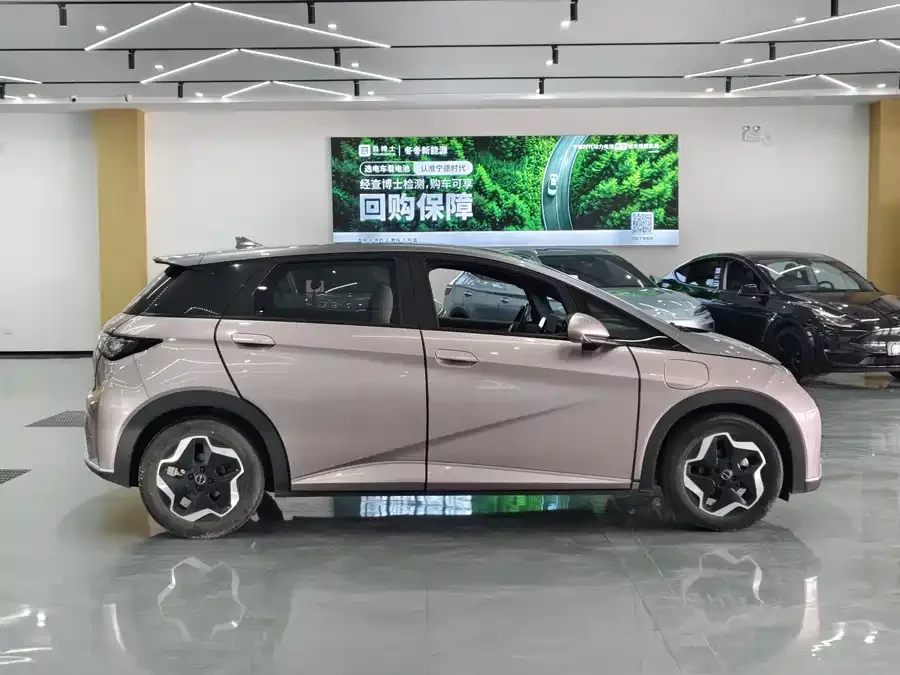 BYD Dolphin