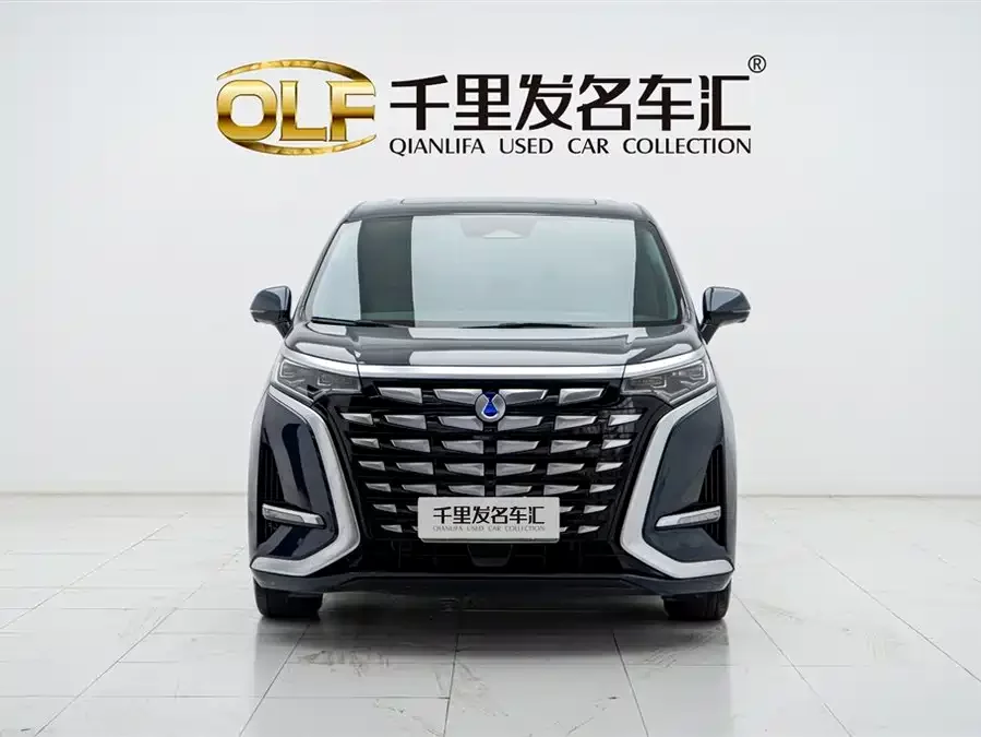 BYD D9