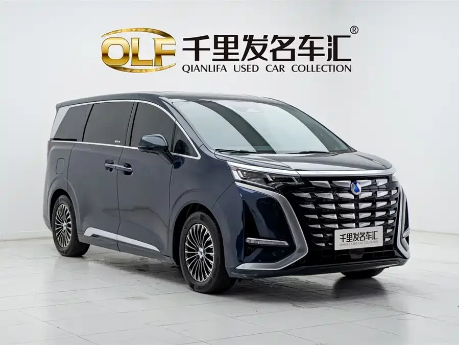 BYD D9