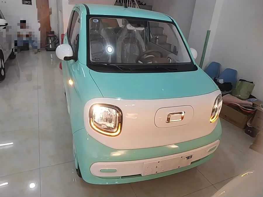 Pentium pony