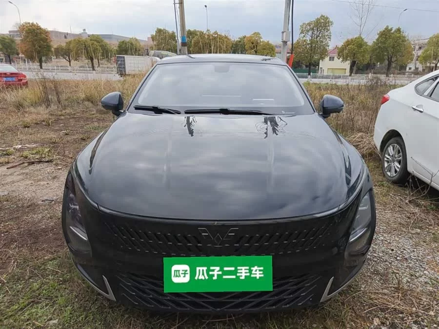 Wuling Starlight