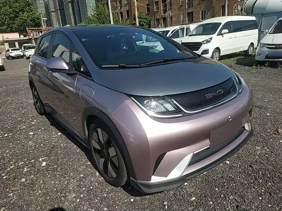 BYD Dolphin