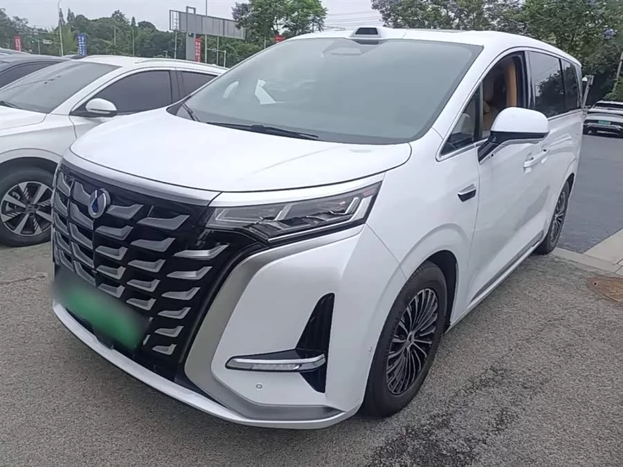 BYD D9