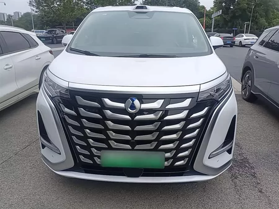 BYD D9