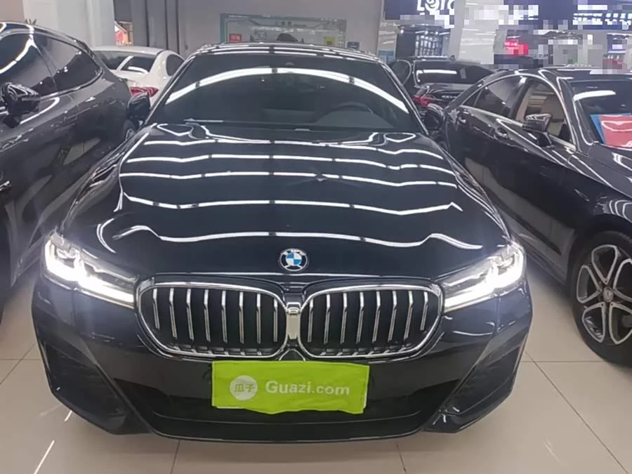 BMW 5 Series New Energy