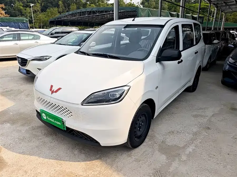 Wuling Hongguang New Energy