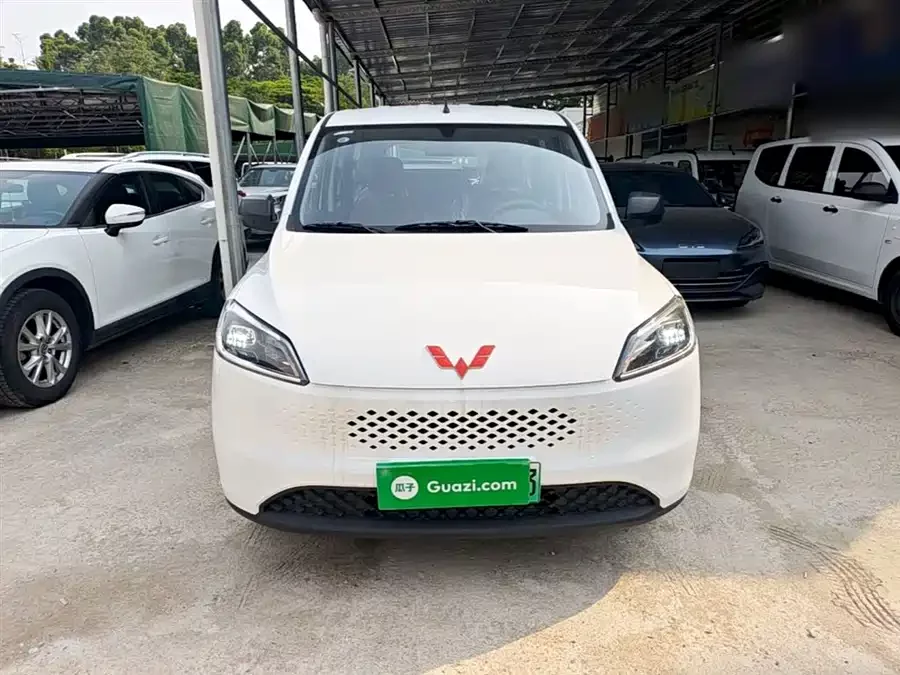 Wuling Hongguang New Energy