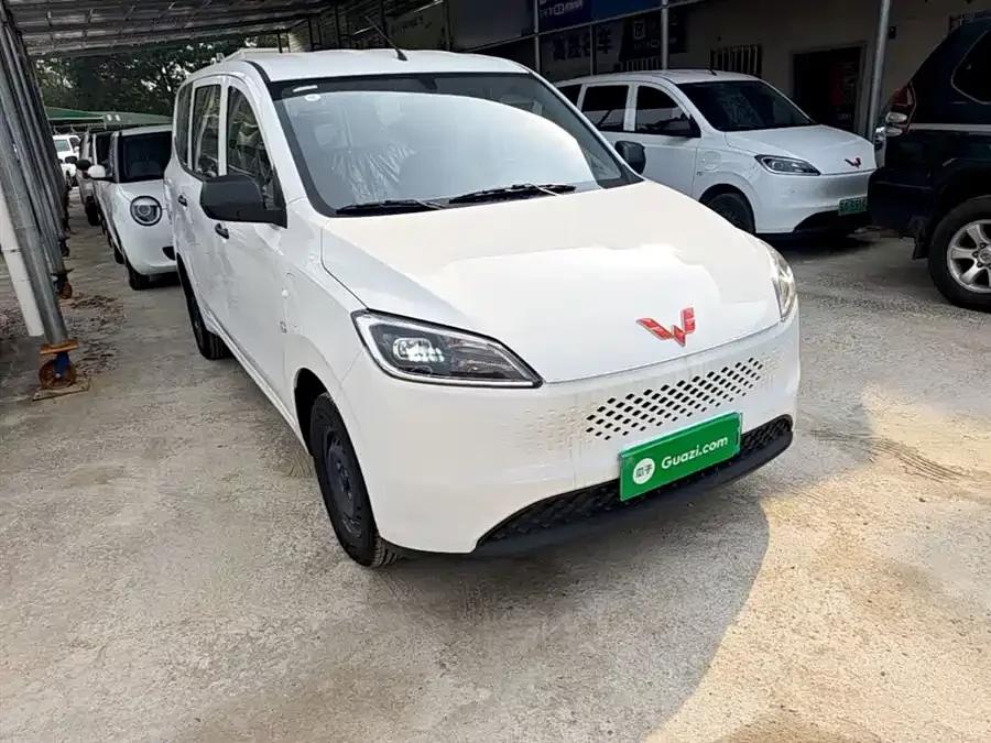 Wuling Hongguang New Energy