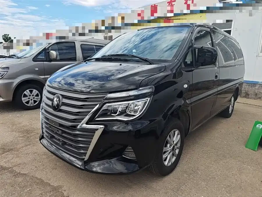 Dongfeng Lingzhi