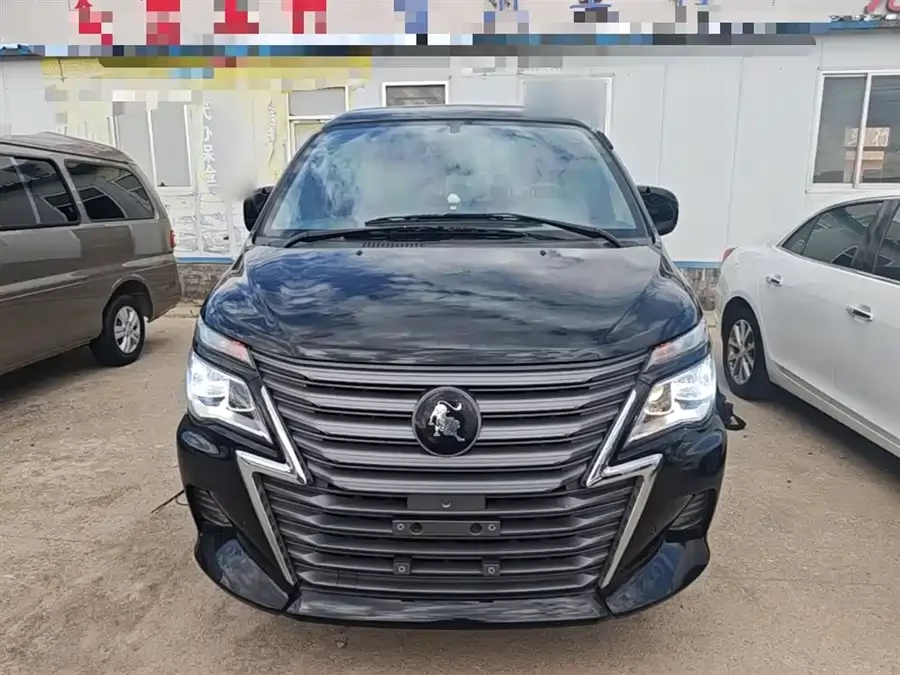 Dongfeng Lingzhi