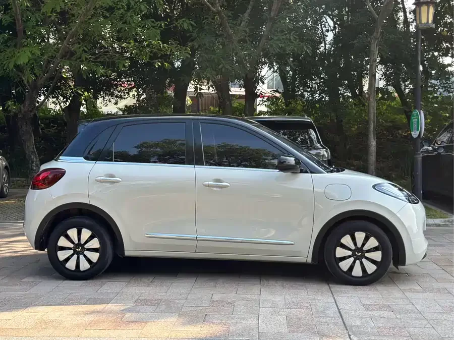 Wuling Bingo