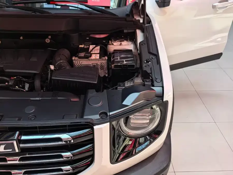 Haval Big Dog DaGou