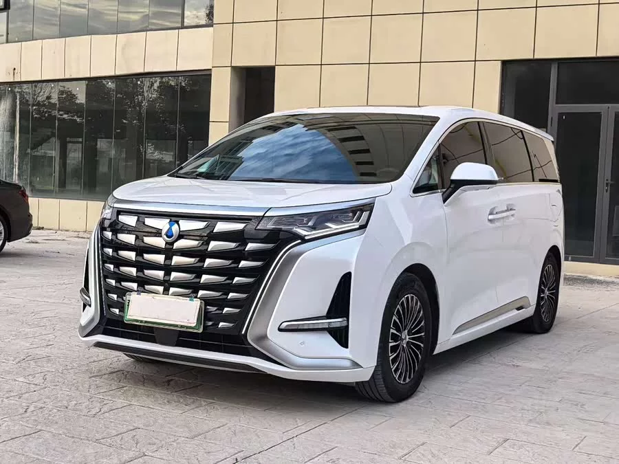 BYD D9