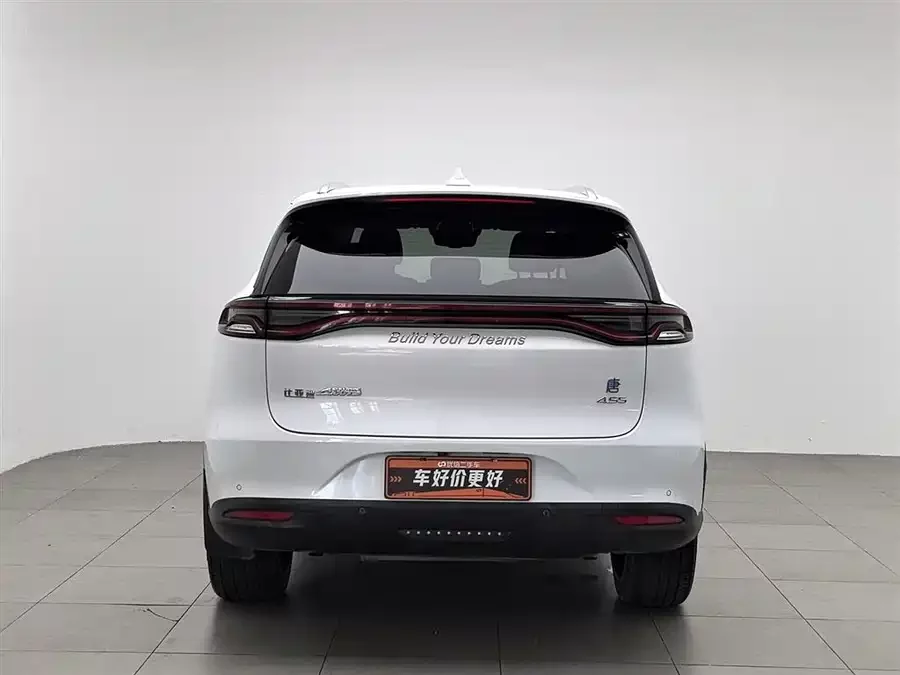 BYD Tang New Energy